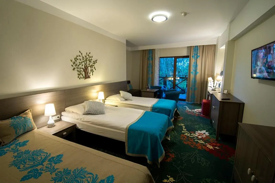 ***  Hotel Europa - Gornicza Strzecha شكلارسكا بوريبا بولندا