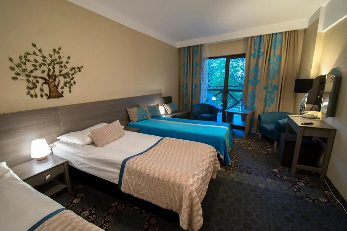 Hotel Europa - Gornicza Strzecha شكلارسكا بوريبا